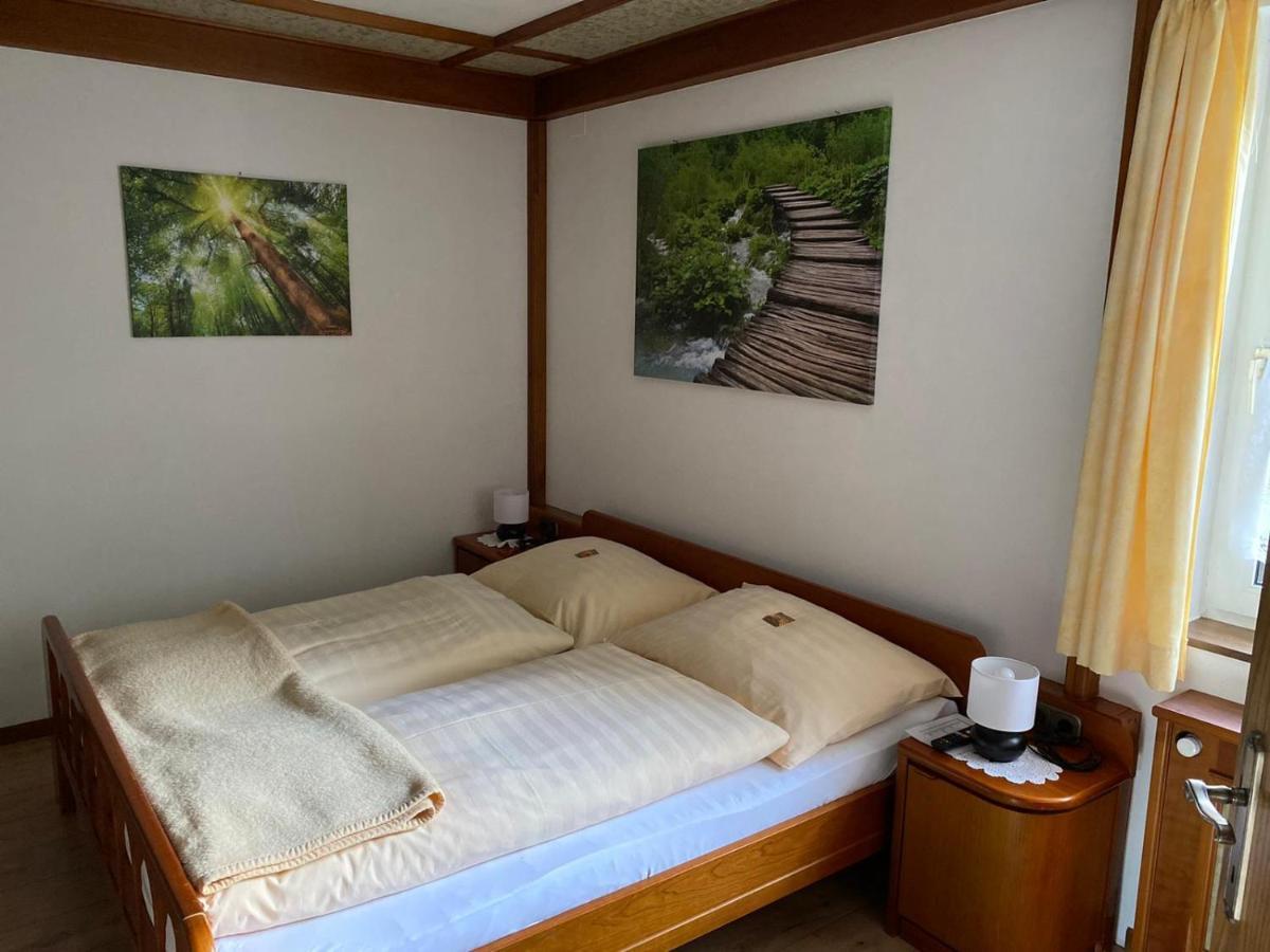 Ferienwohnung Scheiblechner Ґестлінґ-ан-дер-Іббс Екстер'єр фото